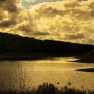 Golden Sky
